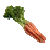 EverQuest Carrot.jpg