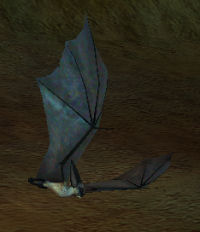 Datei:EverQuest cavebat.jpg