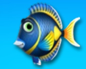 Datei:Fishdom 2 AchillesSurgeonfish.jpg