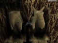 Tomb Raider - featuring Lara Croft Walkthrough40.jpg